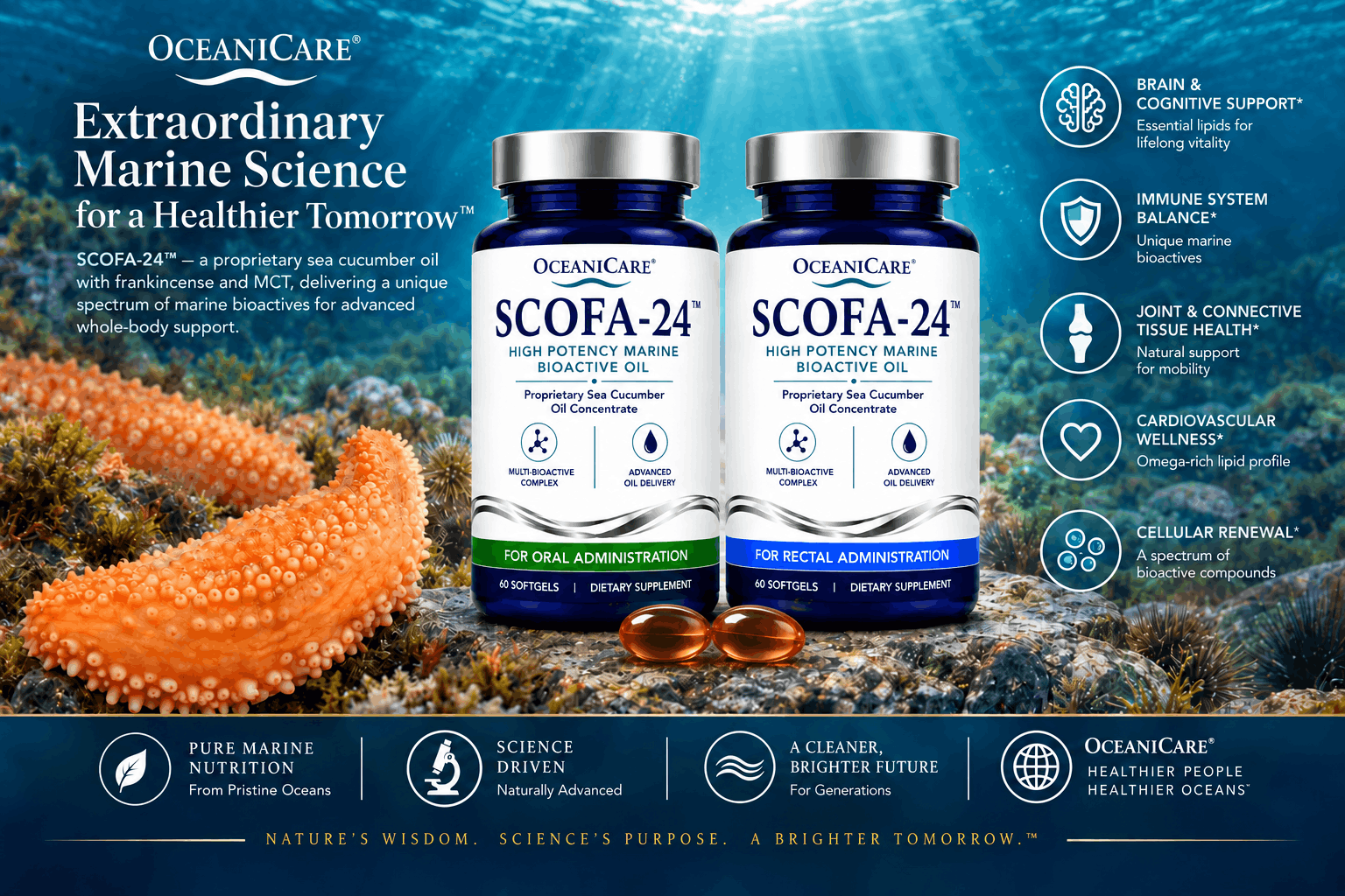 SCOFA 24 Benefits
